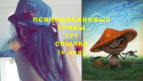 ПСИЛОЦИБИНОВЫЕ ГРИБЫ Володарск