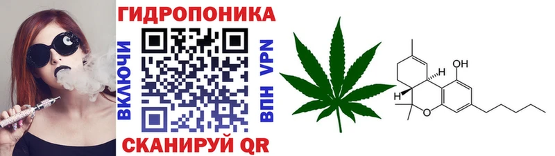 Бошки Шишки ГИДРОПОН  Купить закладки  Великие Луки 